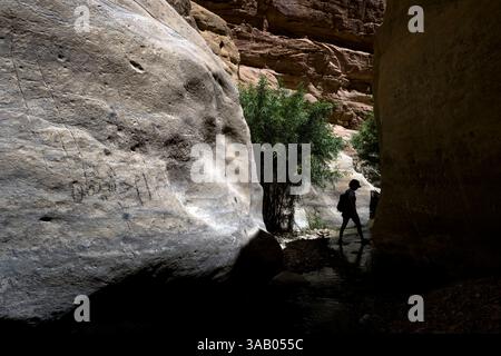AL-MANSOURA, GIORDANIA - 10 SETTEMBRE 2021: Fatinha nel canyon del Wadi Ghuweir Trail. CREDITO: Daniel Rodrigues Foto Stock