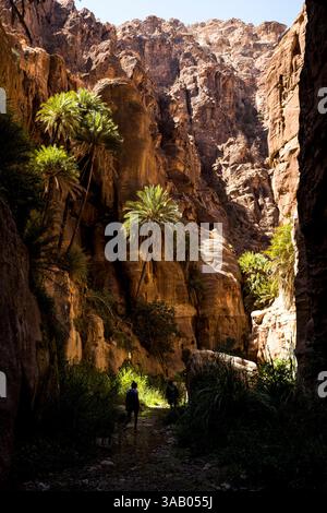 AL-MANSOURA, GIORDANIA - 10 SETTEMBRE 2021: Oasi del Wadi Ghuweir Trail. CREDITO: Daniel Rodrigues Foto Stock