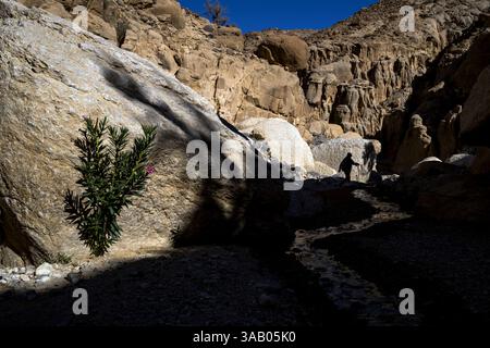 AL-MANSOURA, GIORDANIA - 10 SETTEMBRE 2021: Inizio del Wadi Ghuweir Trail. CREDITO: Daniel Rodrigues Foto Stock