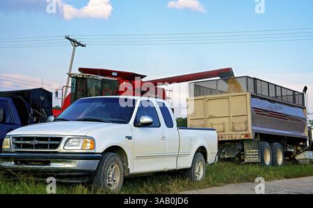 1° ottobre 2014 - Emporia, Kansas, Stati Uniti - Emporia Kansas, USA, 1° ottobre 2014. Gli agricoltori raccolgono mais fuori Emporia Kansas oggi. Dopo aver tagliato il mais sul campo utilizzando una mietitrebbia dotata di testata mais sulla parte anteriore, che taglia prima il mais, quindi lo buccia e poi fluisce nel vano tramoggia della mietitrebbia che, quando è pieno, viene scaricato in un autocarro rimorchio per trattori per granella sfuse per il trasporto verso l'elevazione locale per l'esportazione all'estero. (Immagine di credito: © Mark Reinstein via ZUMA Wire) Foto Stock