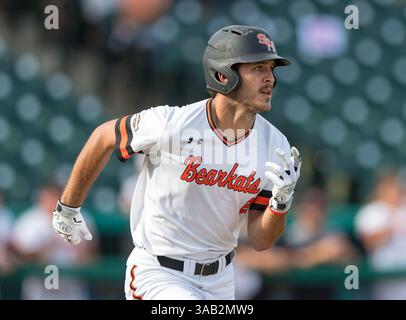 23 maggio 2018: Sam Houston St., l'interno Riley McKnight (2) durante il Southland Conference Championships 2018. Partita 3 New Orleans vs Sam Houston al Constellation Field Sugar Land, Texas. No. 8 New Orleans Privateers ha superato il numero 1 Sam Houston State 4-3 in 10 inning, qualcosa che non è successo dal 2015 (Credit Image: &Copy; Maria Lysaker/CSM via ZUMA Wire) Foto Stock