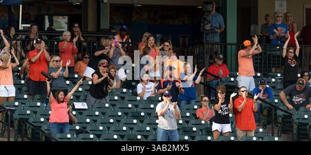 23 maggio 2018: I fan di Sam Houston sono entusiasti durante i campionati della Southland Conference 2018. Partita 3 New Orleans vs Sam Houston al Constellation Field Sugar Land, Texas. No. 8 New Orleans Privateers ha superato il numero 1 Sam Houston State 4-3 in 10 inning, qualcosa che non è successo dal 2015 (Credit Image: &Copy; Maria Lysaker/CSM via ZUMA Wire) Foto Stock