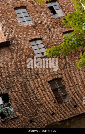 Edificio europeo in mattoni abbandonato con finestre rotte e vegetazione ricoperta Foto Stock