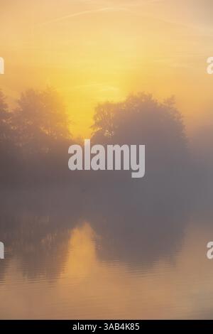 Alba nella nebbia al Grutschenteich di Nassau, Weinboehla, Sassonia, Germania, Europa Foto Stock