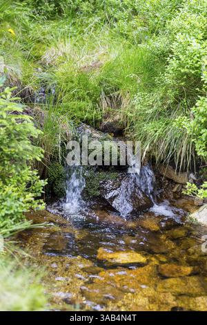 Piccolo ruscello di montagna ondulato, Montagne dei Giganti, Repubblica Ceca, Europa Foto Stock