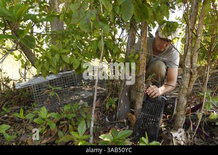 9 marzo 2018 - Deerfield Beach, FL, USA - Nathan Schwartz, tecnico di ricerca, raccoglie diversi tipi di trappole con diversi tipi di esche, testando ciò che funziona per catturare le iguane venerdì 9 marzo 2018 nell'ambito di un progetto di ricerca da $63.000 sponsorizzato dalla Florida Fish and Wildlife Conservation Commission e dal South Florida Water Management District presso il Quiet Waters Park di Deerfield Beach, Flag. (Immagine di credito: © Taimy Alvarez/TNS via ZUMA Wire) Foto Stock