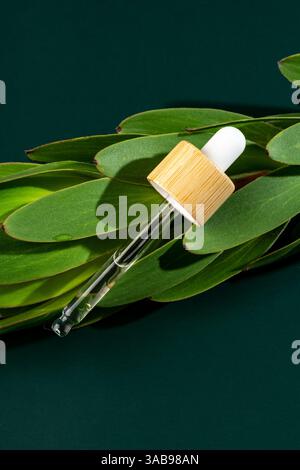 Acqua micellare trasparente per la cura del viso visualizzata in un flacone per pipette minimalista, appoggiata su foglie verdi vivaci su sfondo scuro. Foto Stock