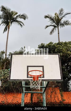 Un canestro da basket all'aperto adagiato su una lussureggiante gamma di palme e un cielo nuvoloso, offre un ambiente tranquillo e tropicale per gli sport. Foto Stock