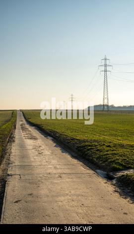 Una lunga strada rurale si estende in lontananza, delimitata da campi verdi e punteggiata da torreggianti piloni di trasmissione elettrica sotto un cielo azzurro Foto Stock