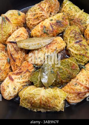 Involtini di cavolo ripieni di carne tritata o verdure e riso. Piatto tradizionale da Moldavia, Ucraina, Russia, Turchia e paesi dell'Asia centrale. Foto Stock