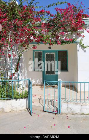 Famagosta, Cipro del Nord - 08 maggio 2024: Casa cipriota con porta verde dei fiori di Bougainvillea rosa, porta di metallo verde e cielo blu Foto Stock