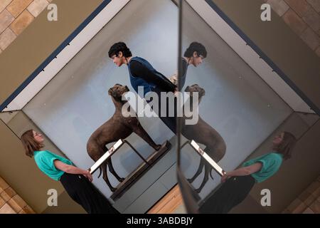 EMBARGO fino alle 20:00 del 2 aprile 2025. Londra, Regno Unito. 2 aprile 2025. Membri del personale con un grande danese, Canis lupus familiaris, all'anteprima stampa di "Fixing Our Broken Planet", la nuova galleria del Museo di storia naturale. È la prima galleria permanente del museo in quasi un decennio, con oltre 200 oggetti provenienti dal mondo naturale, selezionati dagli scienziati del museo, in mostra per evidenziare il nostro pianeta in evoluzione. Crediti: Stephen Chung / EMPICS / Alamy Live News Foto Stock