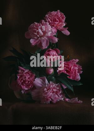 Natura morta di peonie rosa, con delicate gocce d'acqua su sfondo di tessuto scuro con una farfalla nascosta Foto Stock