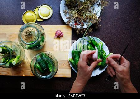 Conservare a casa cetrioli freschi con aneto e aglio in vasetti di vetro Foto Stock