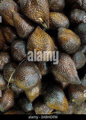 Mucchio di salak fresco, Salacca Zalacca, Snakefruit Vista ravvicinata Foto Stock