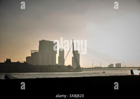 Le biciclette riposano in primo piano mentre l'iconico ponte Erasmus di Rotterdam si estende lungo la rotta, mescolando l'eleganza urbana con la cultura ciclistica olandese Foto Stock