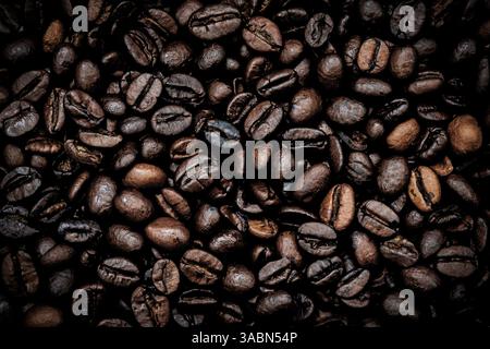 chicchi di caffè a tostatura lenta Foto Stock