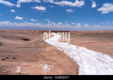 Depositi di sale bianco in un lungo letto di fiume asciutto e curvo, deserto di Atacama, Cile. Foto Stock