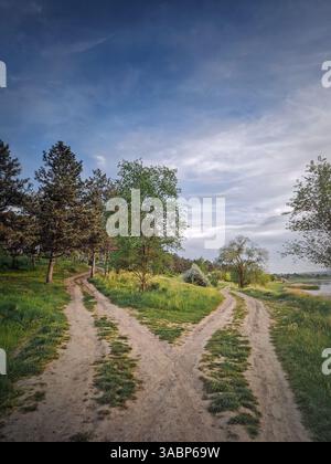 Scena stradale di campagna divisa. Concetto di incrocio scegliere la strada. Idilliaco paesaggio rurale estivo e due sentieri sterrati nella natura che conducono alla foresta A. Foto Stock
