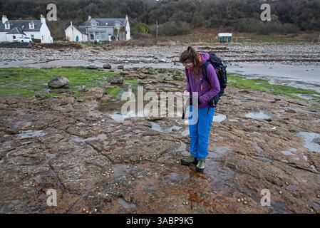 Giovane donna che fotografa l'impronta di dinosauro visibile durante la bassa marea sulla riva di Kildonan, Isola di Arran, Scozia, Regno Unito. Foto Stock