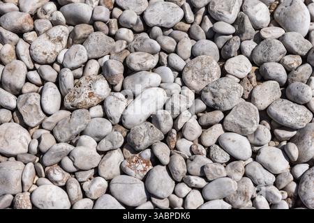 Una vista dettagliata di numerose pietre lisce e arrotondate di varie dimensioni e sfumature di grigio. Ideale per sfondi, concetti naturalistici o illustrazioni di texture Foto Stock