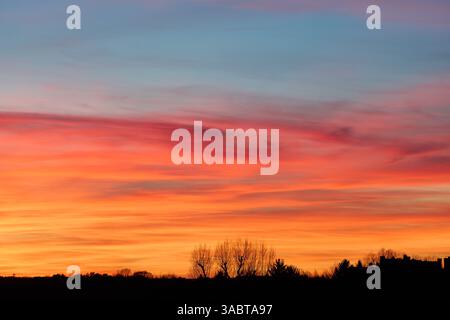Le sfumature di fuoco dipingono il cielo del tramonto su alberi sagomati e orizzonti lontani. Il gradiente dall'arancione intenso al blu chiaro crea una vista mozzafiato. La scena evoca Foto Stock