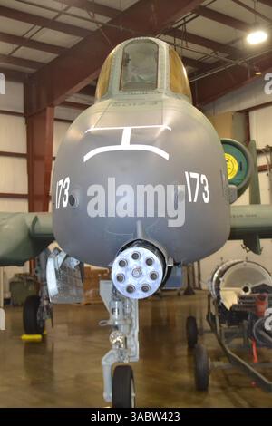 Questa classica foto del naso della Fairchild Republic A-10 Thunderbolt II mostra il lato business dell'enorme cannone rotante GAU-8 da 30 mm. Foto Stock