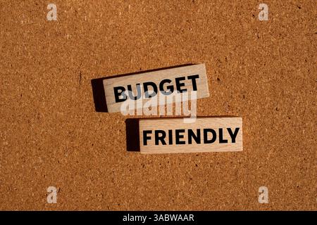 Messaggio economico scritto su blocchi di legno su sfondo marrone. Simbolo di budget concettuale. Copia spazio. Foto Stock