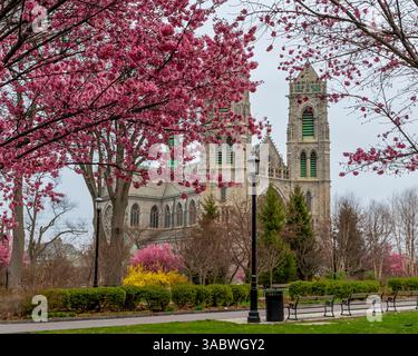 Newark, New Jersey - Stati Uniti - 30 marzo 2025 la Basilica del Sacro cuore della Cattedrale di Newark, incorniciata da vibranti fiori di ciliegio, fonde splendidi archi gotici francesi Foto Stock
