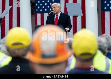 Washington, Stati Uniti. 2 aprile 2025. U. Il presidente Donald Trump pronuncia le sue osservazioni mentre annuncia il suo piano tariffario per tutti i beni importati durante il suo evento Make America Rich Again al Rose Garden della Casa Bianca, 2 aprile 2025 a Washington, DC Credit: Daniel Torok/White House Photo/Alamy Live News Foto Stock