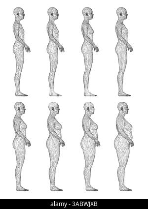 Una serie di disegni in bianco e nero del corpo di una donna, ognuno dei quali mostra una diversa fase di perdita di peso. Vista laterale. 3D. Illustrazione Vettoriale