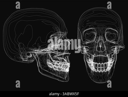 Due teschi sono mostrati fianco a fianco, uno con la bocca aperta e l'altro con la bocca chiusa. I teschi sono in bianco e nero, e l'immagine ha un som Illustrazione Vettoriale