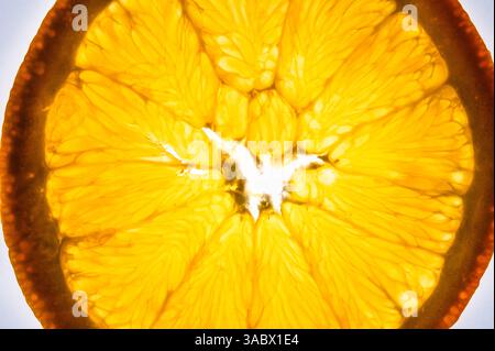 Sezione trasversale del centro di un arancione retroilluminato Foto Stock