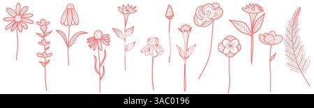 Illustrazioni floreali disegnate a mano con diverse varietà di piante e fiori Illustrazione Vettoriale