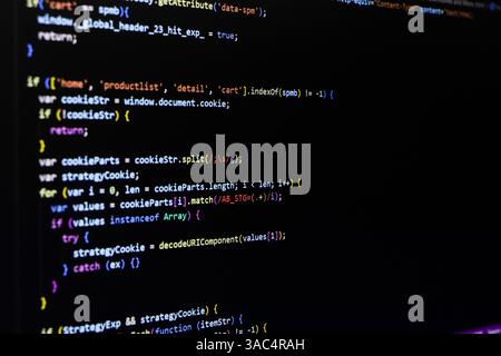 Codice sorgente del software. Codice di programmazione. Memorizzazione del codice sullo schermo del calcolatore. Sviluppatore che lavora sui codici di programma in ufficio. Foto del codice sorgente. Technolo Foto Stock