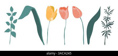 Elementi isolati di tulipani e foglie Illustrazione Vettoriale