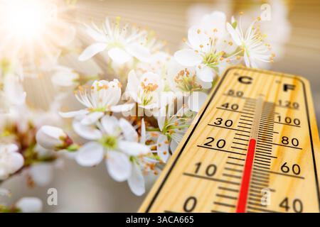 Warme Temperatur zum Frühlingsanfang Ein Thermometer zeigt Warme Temperatur zum Frühlingsanfang mit blühenden Blumen und Knospen im Hintergrund - FOTO Foto Stock