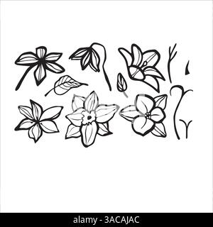 Set di narcisi. Fiori di doodle disegnati a mano. Illustrazione Vettoriale