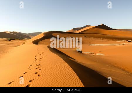 Dune di sabbia arancione con impronte e cielo limpido nel deserto del Namib al Parco Nazionale Namib-Naukluft della Namibia, Africa. Fotografia di paesaggi Foto Stock