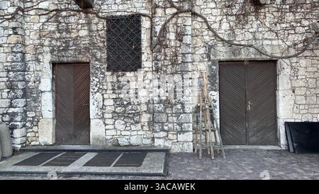 Mura del castello in pietra intemprata con porte in legno invecchiato, che mostrano una struttura storica, decadenza e carattere medievale in una luce naturale soffusa Foto Stock