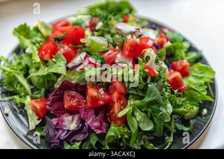 Insalata di verdure fresche crude tritate con lattuga verde, raddicio, cavolo, pomodori e aneto un macro ravvicinato vivace e sano della consistenza Foto Stock