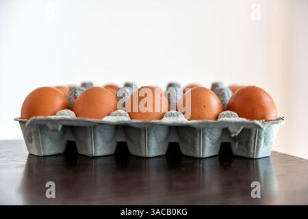 Pascolo allevato non lavato uova brune fresche dell'azienda agricola macro primo piano dal punto vendita acquistato dall'agricoltore in un contenitore di cartone con consistenza di gusci d'uovo Foto Stock