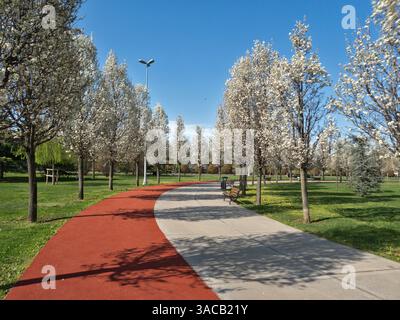 Primavera nel lato asiatico di Istanbul, Turchia Foto Stock