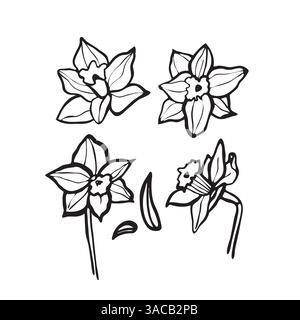 Set di narcisi. Fiori di doodle disegnati a mano. Illustrazione Vettoriale