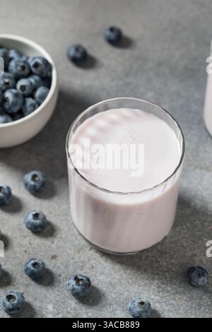 Frullato di kefir di mirtillo biologico sano in un bicchiere Foto Stock