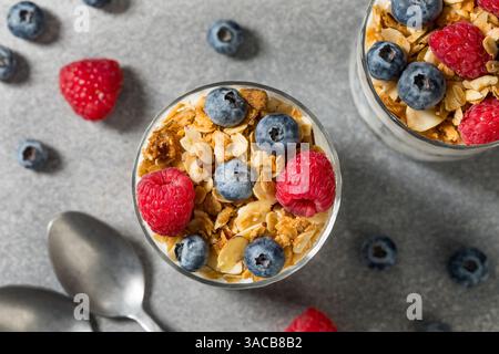 Parfait di yogurt fatto in casa con Granola e frutti di bosco Foto Stock