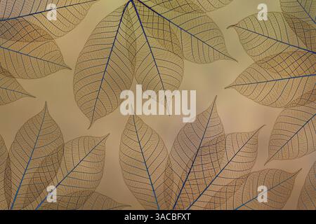 Stati Uniti, Stato di Washington, Seabeck. Modello di foglie scheletriche. ©Don Paulson / Jaynes Gallery / DanitaDelimont.com Foto Stock