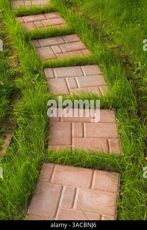 Sentiero in pietra di colore marrone e beige su prato erboso nel giardino sul retro in estate. Foto Stock