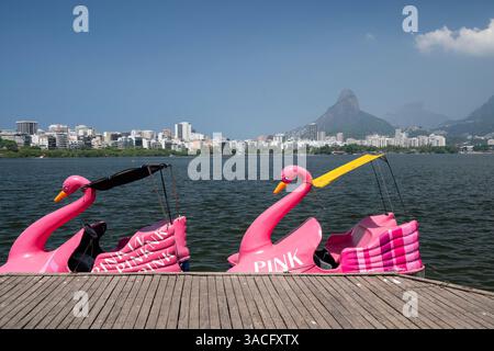 Splendida vista sulle barche a remi colorate a forma di cigno Foto Stock