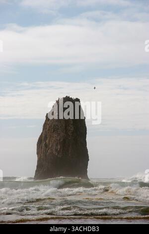 11 ottobre 2005 - Cannon Beach, Oregon, Stati Uniti - Vista su Cannon Beach. Cannon Beach, una città della contea di Clatsop, Oregon, Stati Uniti, è una ricca destinazione turistica, popolare in tutto il Pacifico nord-occidentale. Grazie alla sua vicinanza a Portland, Oregon, è particolarmente conosciuta per essere un luogo di fuga per il fine settimana per i Portlanders. Cannon Beach è generalmente considerata un'alternativa più tranquilla e più colta al talvolta raucoso Seaside, Oregon. (Immagine di credito: © Sandra Tietje/Keystone Pressedienst/ZUMA Press) Foto Stock